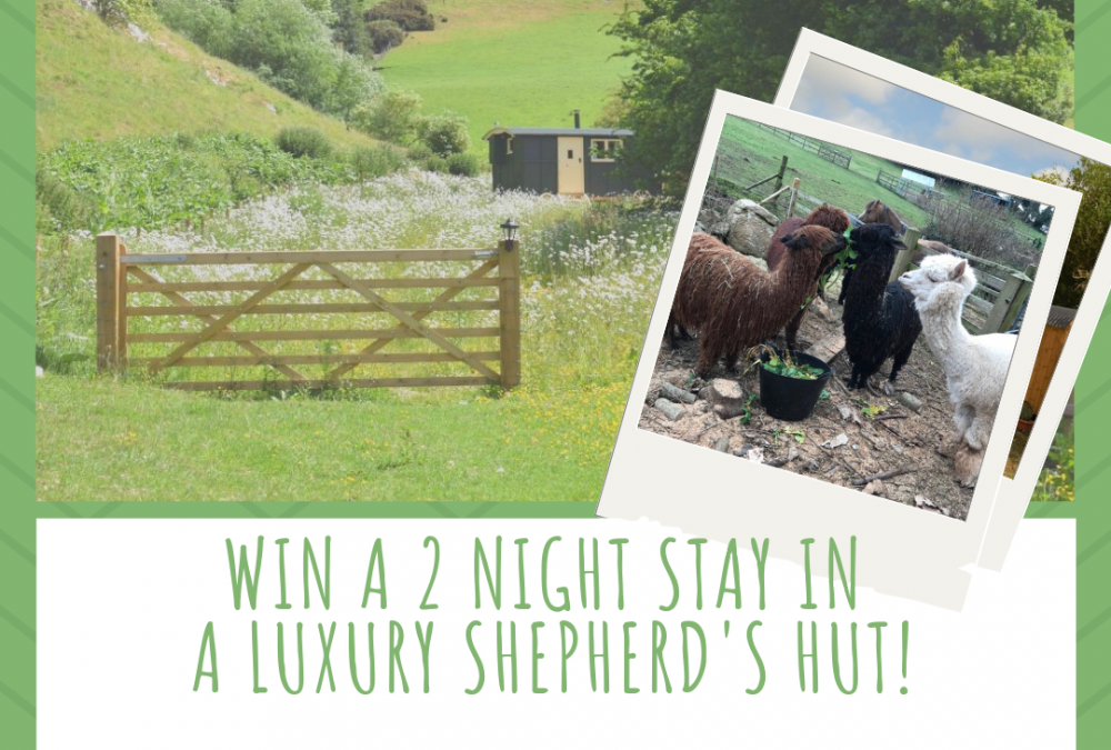 Win a 2 Night Stay in a Luxury Shepherd’s Hut by Entering Our Competition!